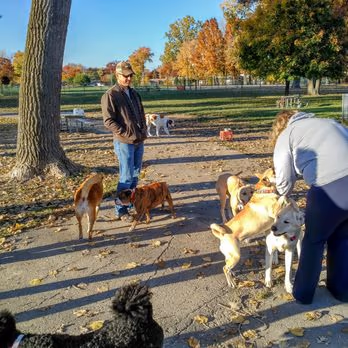 Staler Maloof Dog Park photo 1